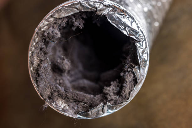 Best Affordable Air Duct Cleaning  in Longmont, CO