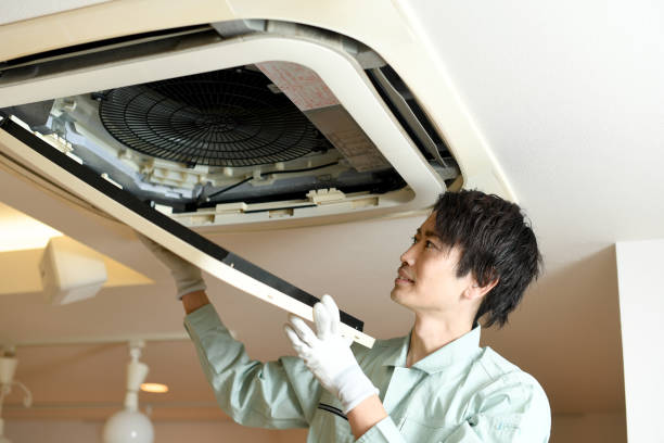 Best Air Duct Cleaning Near Me  in Longmont, CO