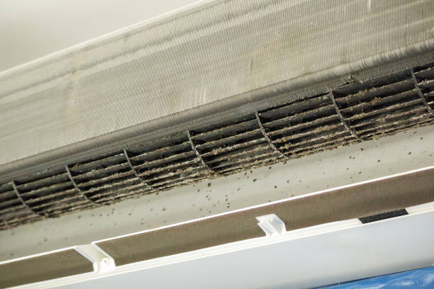 Best Air Duct Cleaning Near Me  in Longmont, CO